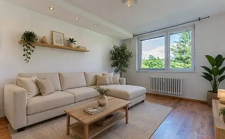 Prodej bytu 3+1 74 m², Dvorská, Blansko