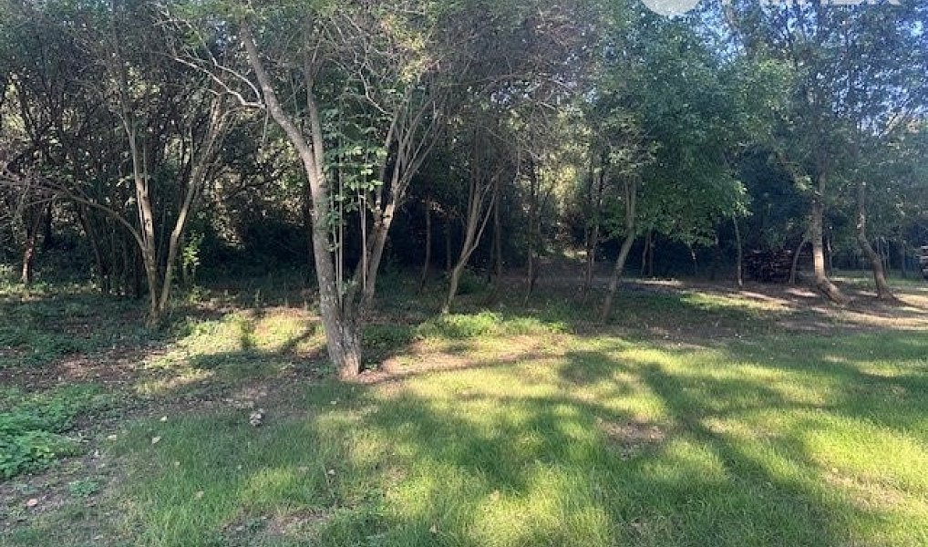 Prodej zahrady 4 789 m², Přibice – náhled fotky 4