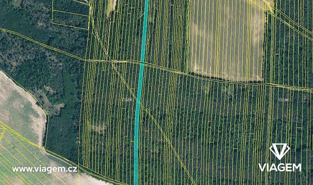 Prodej lesa 3 211 m², Svatobořice-Mistřín – náhled fotky 3