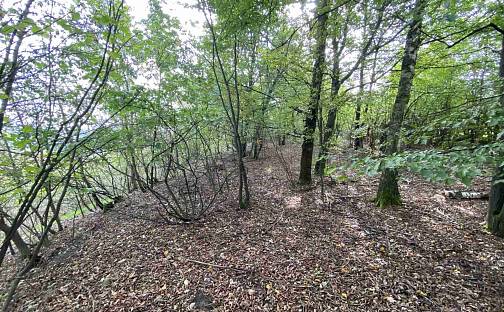 Prodej pozemku 764 m², Plzeň - Radobyčice