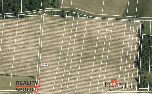 Prodej pozemku 1 193 m², Oleksovice, okres Znojmo