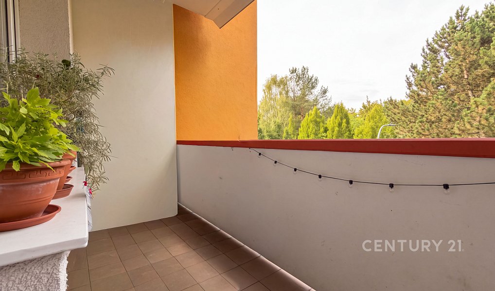 Prodej bytu 2+1 58 m², Brno – náhled fotky 7