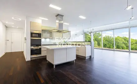 Pronájem bytu 6+kk 297 m², Na Hřebenkách, Praha 5 - Smíchov