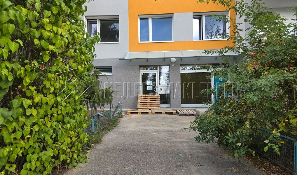 Prodej bytu 4+1 84 m², Praha – náhled fotky 19