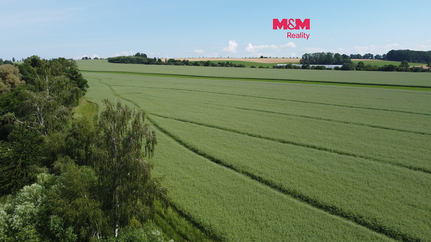 Prodej pole 99 905 m²