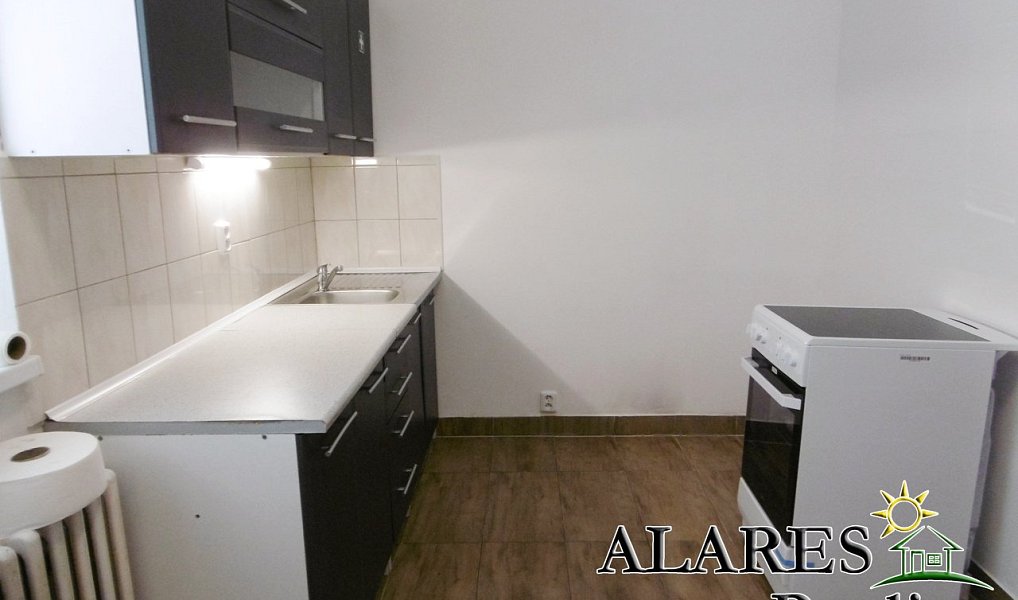 Pronájem bytu 1+1 50 m², Praha – náhled fotky 2