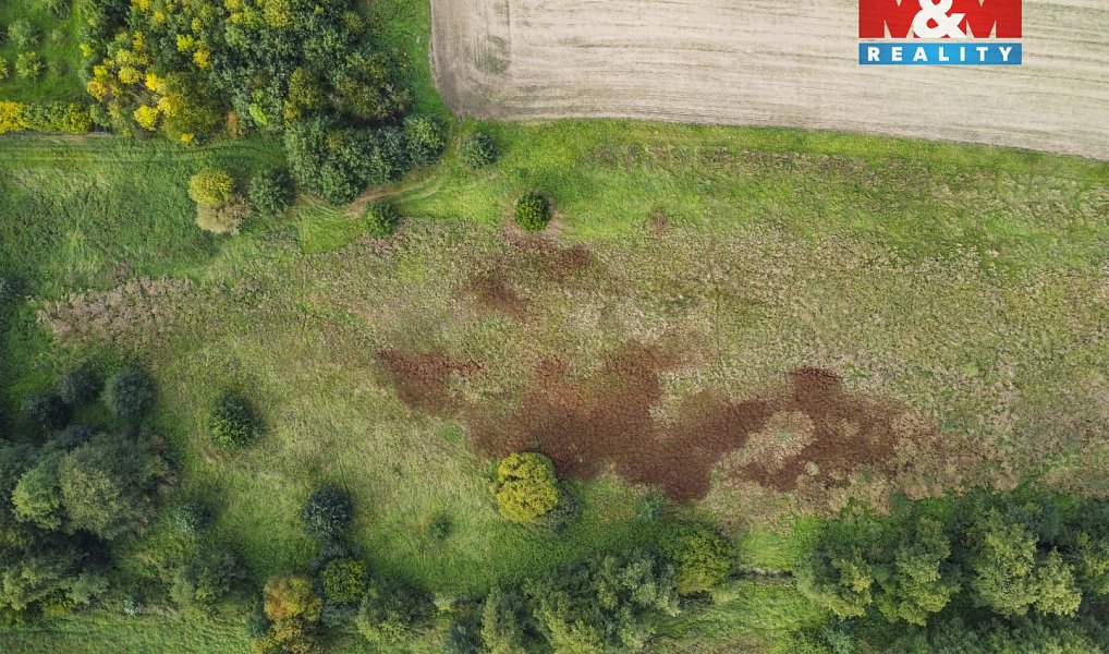 Prodej louky 8 900 m², Františkovy Lázně – náhled fotky 18