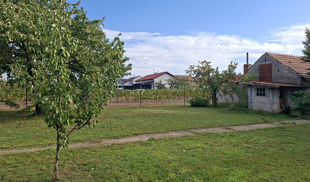 Prodej domu 184 m² s pozemkem 1 239 m², Moravský Žižkov – náhled fotky 37