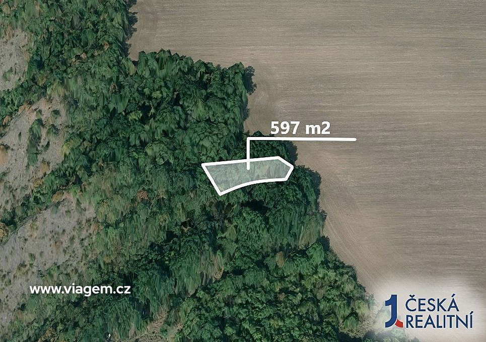 Prodej pole 298 m² – fotografie 2