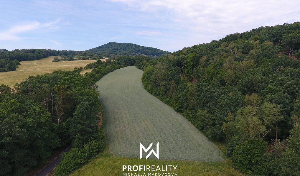 Prodej pole 30 547 m², Stružnice – náhled fotky 2