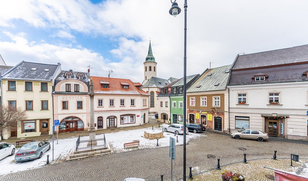 Prodej obchodních prostor 425 m², Ostrov – náhled fotky 18