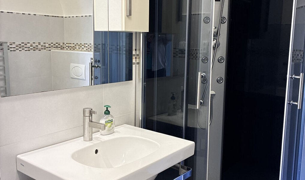 Pronájem bytu 2+kk 48 m², Dolní Benešov – náhled fotky 6
