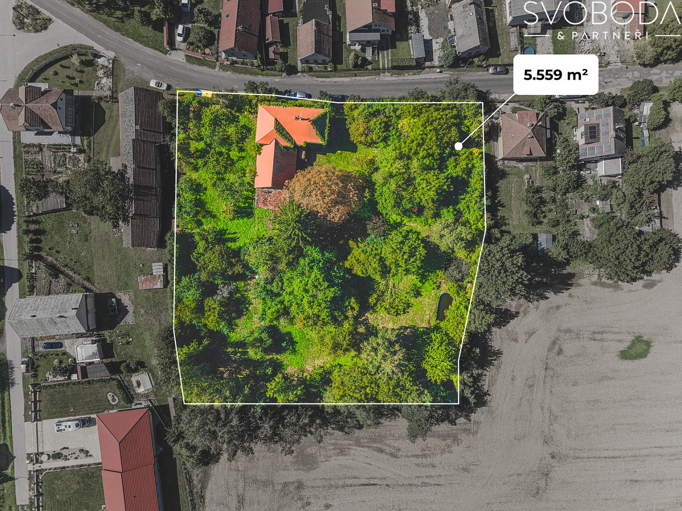 Prodej domu 300 m² s pozemkem 5 559 m² – fotografie 2
