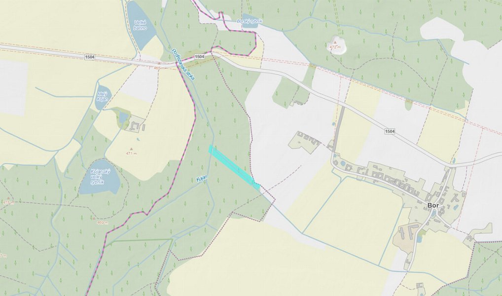Prodej pozemku 9 041 m², Cep – náhled fotky 4