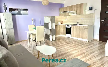 Pronájem bytu 1+kk 38 m²