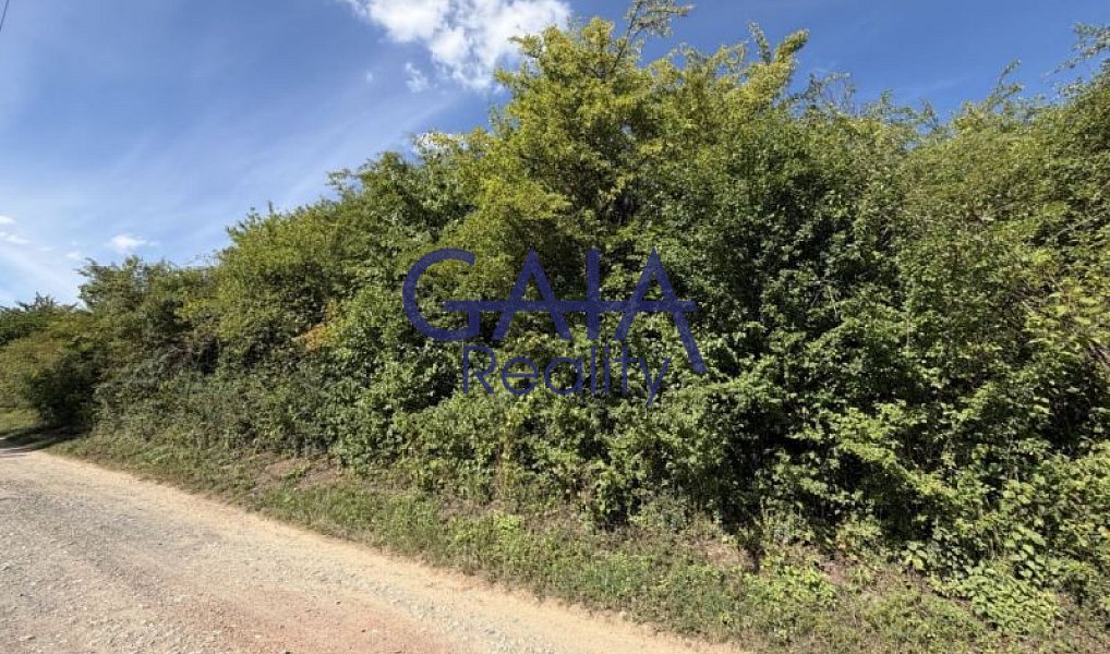 Prodej pole 8 411 m², Buchlovice – náhled fotky 3