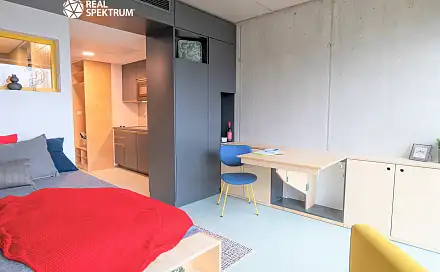 Pronájem bytu 1+kk 24 m², Dornych, Brno - Trnitá