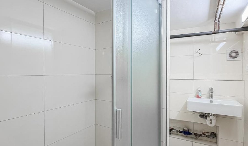 Pronájem domu 170 m² s pozemkem 210 m², Praha – náhled fotky 13