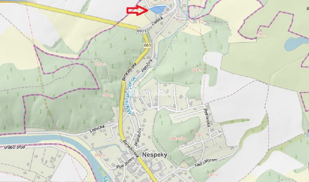 Prodej stavebního pozemku 2 256 m², Nespeky – náhled fotky 2