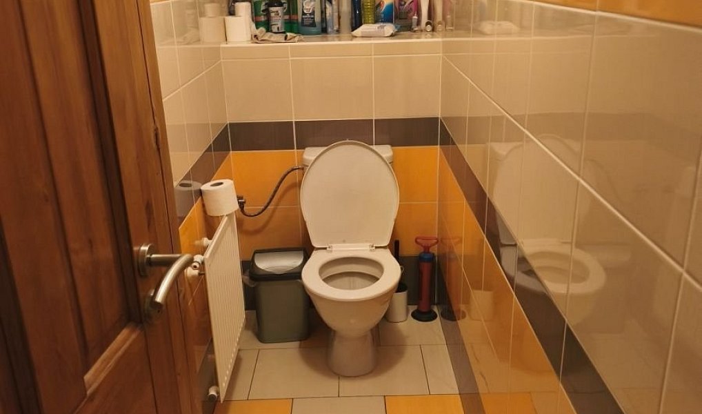 Prodej domu 221 m² s pozemkem 779 m², Český Rudolec – náhled fotky 7