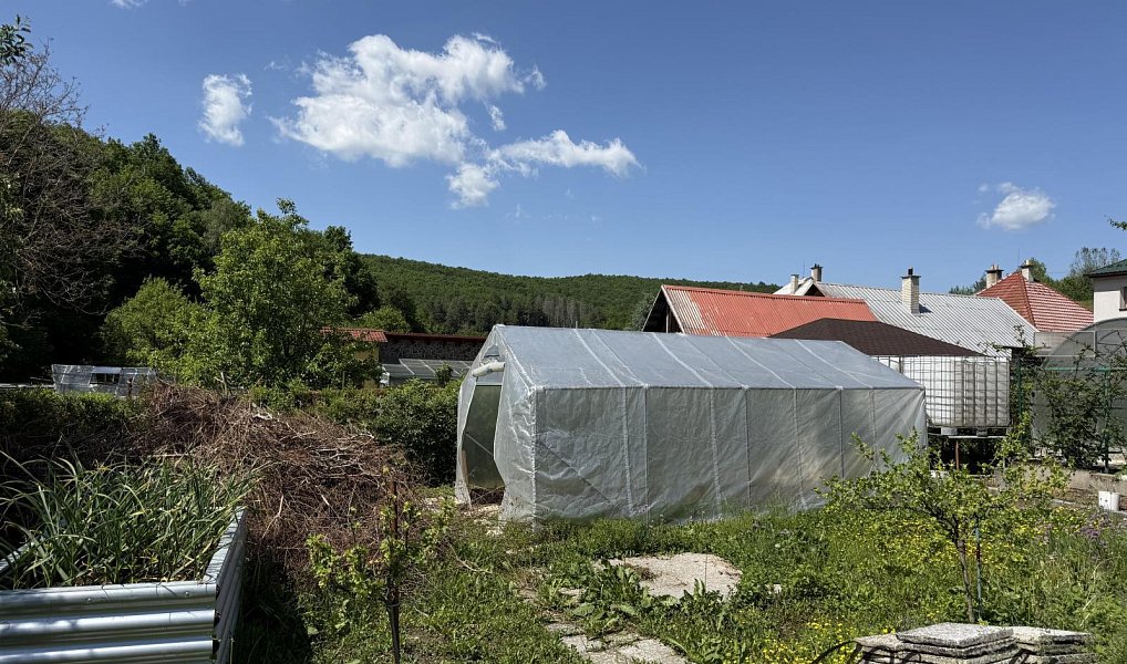 Prodej domu 232 m² s pozemkem 1 263 m², Dešná – náhled fotky 29