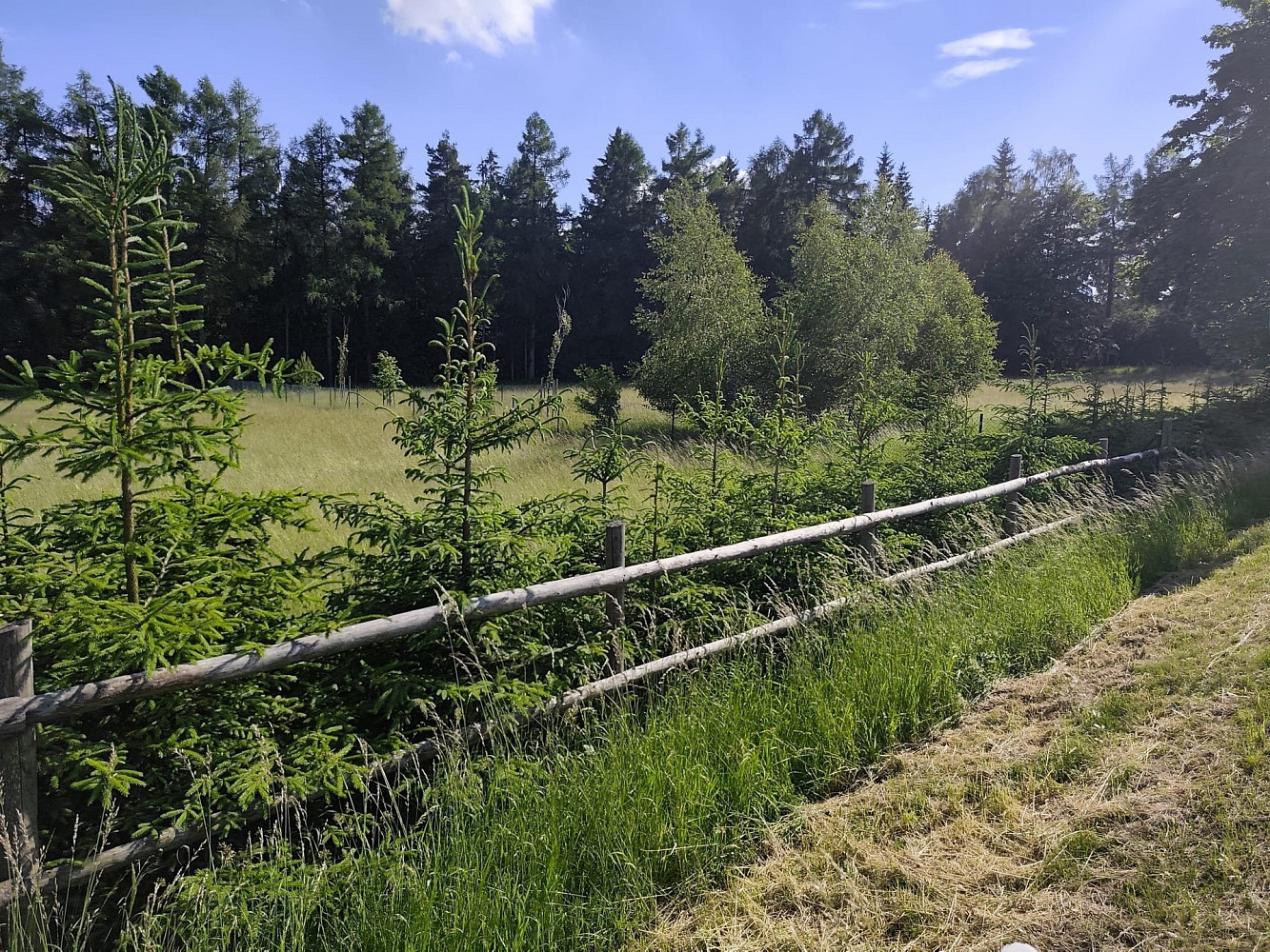 Prodej stavebního pozemku 1 456 m² – fotografie 3