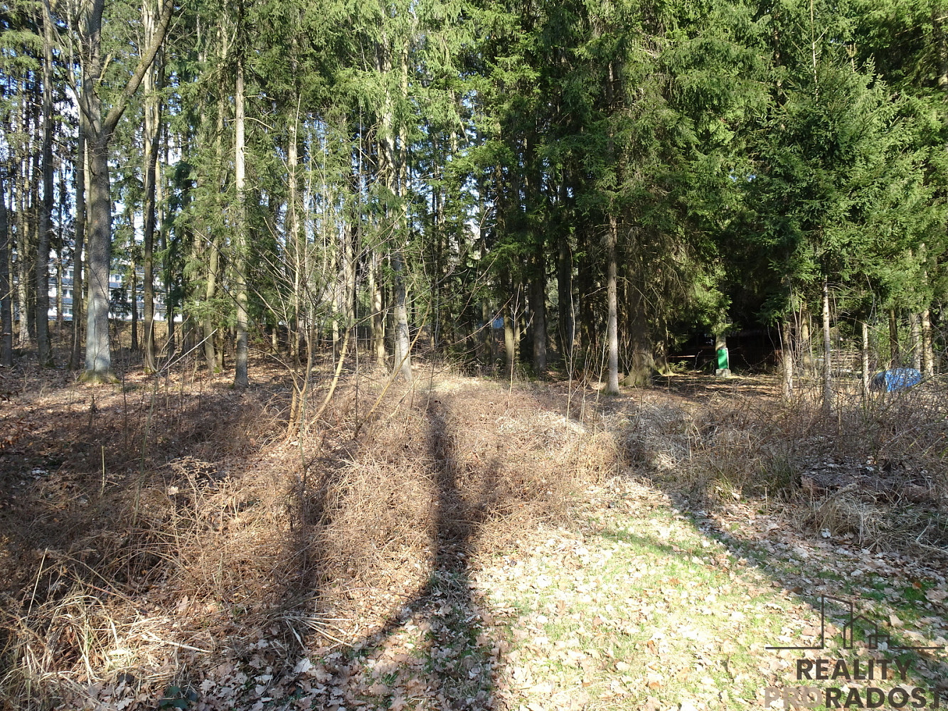 Prodej lesa 637 m² – fotografie 4
