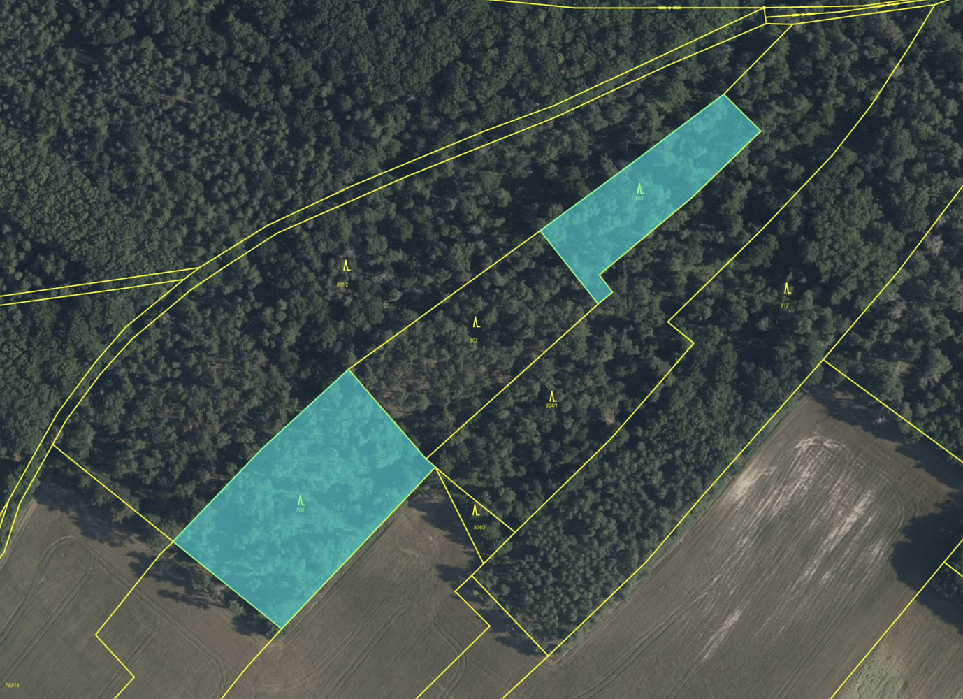 Prodej lesa 7 719 m²