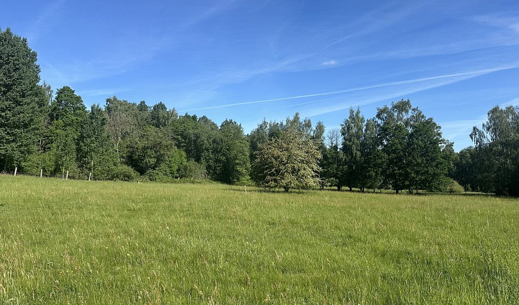 Prodej pozemku 37 713 m², Varnsdorf – náhled fotky 3