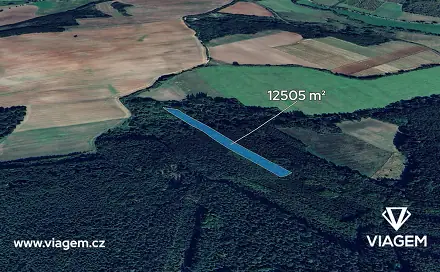 Prodej lesa 5 210 m², Pnětluky, okres Louny