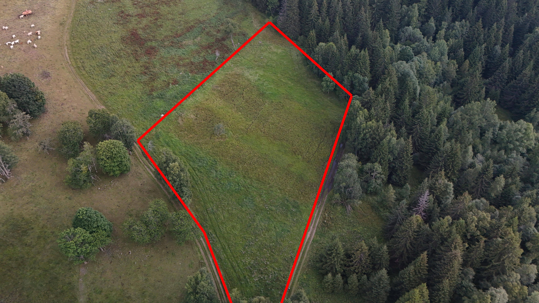 Prodej zahrady 8 891 m²