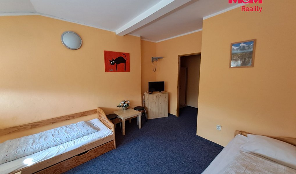 Prodej ubytovacího objektu 300 m², Široká Niva – náhled fotky 11