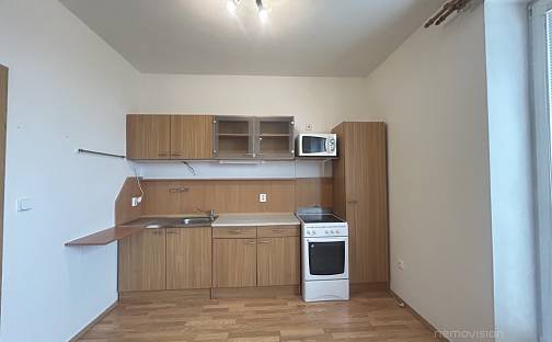 Pronájem bytu 1+kk 38 m², Kunovice - Sady