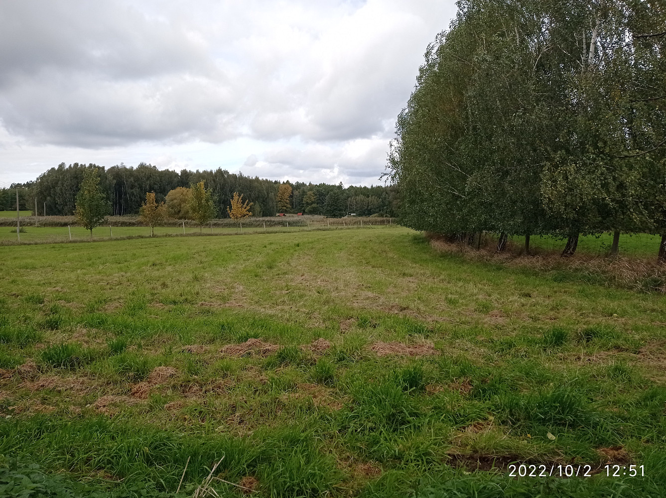 Prodej stavebního pozemku 8 165 m² — photo 5