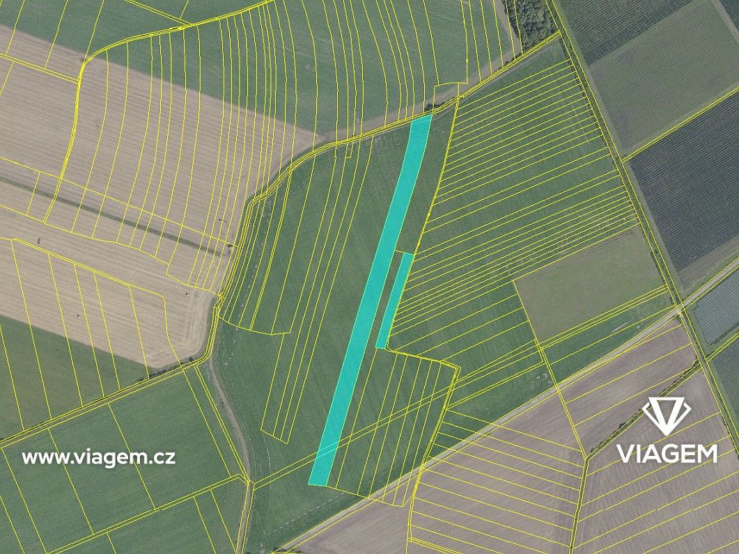 Prodej pole 4 726 m² – fotografie 3