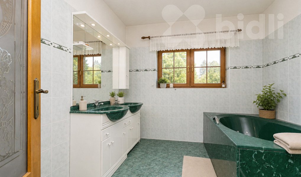 Prodej domu 326 m² s pozemkem 3 955 m², Rokytnice v Orlických horách – náhled fotky 6