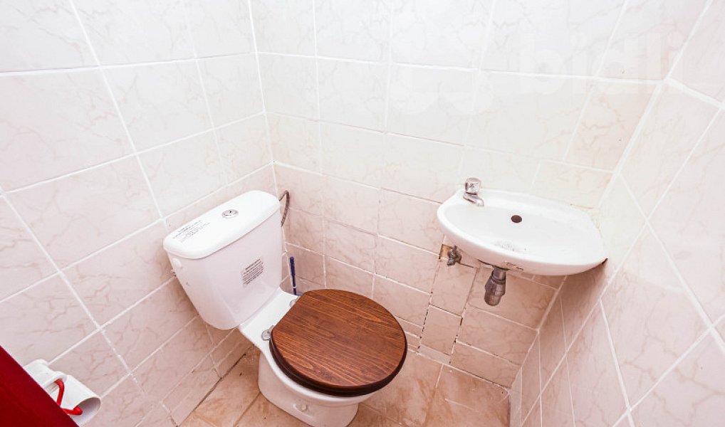 Prodej domu 170 m² s pozemkem 2 013 m², Plasy – náhled fotky 9