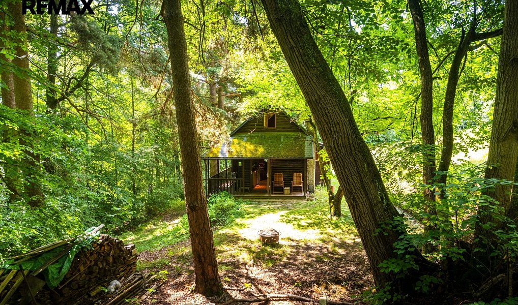 Prodej chaty/chalupy 50 m² s pozemkem 5 859 m², Komařice – náhled fotky 37