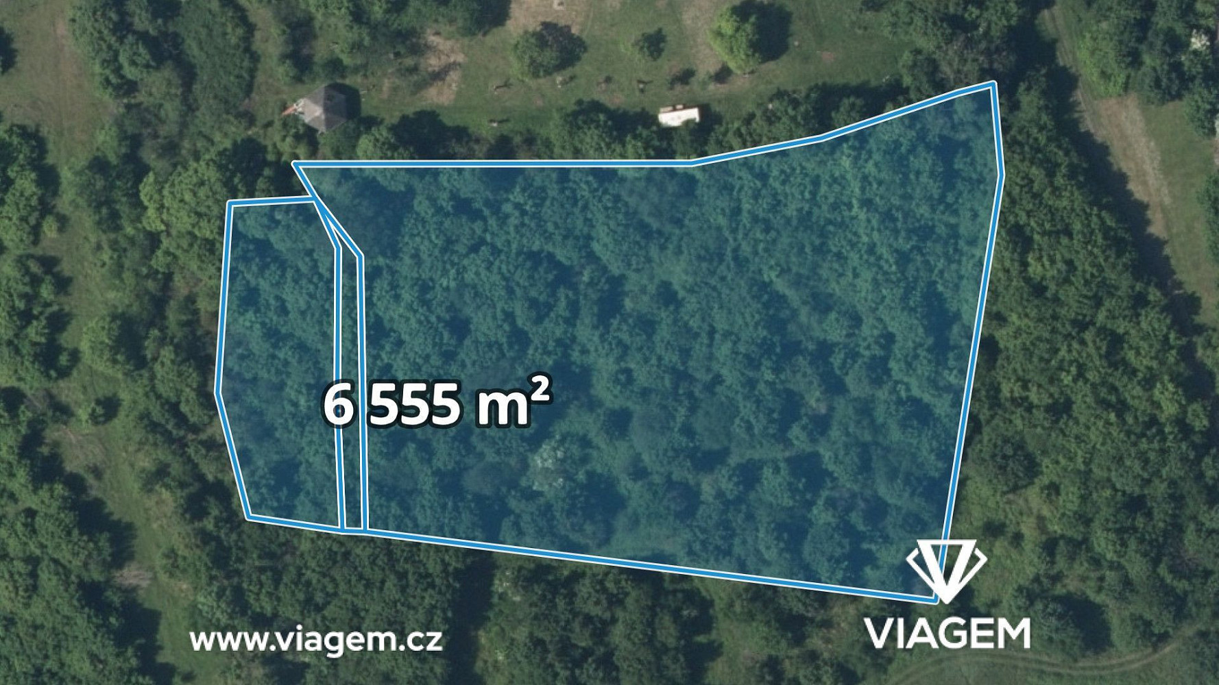 Prodej lesa 1 311 m²
