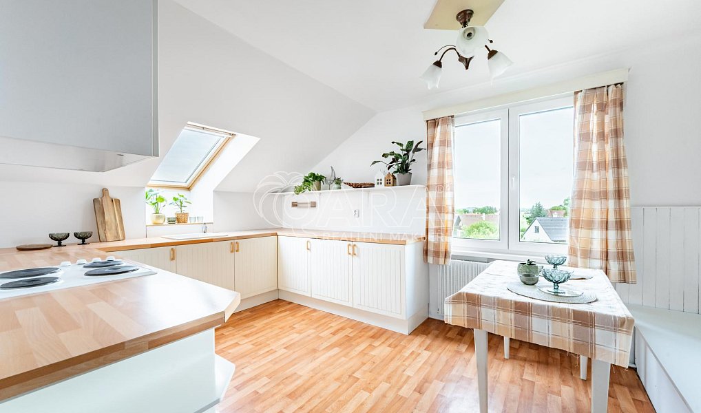 Prodej domu 250 m² s pozemkem 468 m², Tlustice – náhled fotky 2