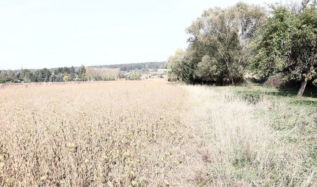 Prodej pole 27 614 m², Dvůr Králové nad Labem – náhled fotky 4