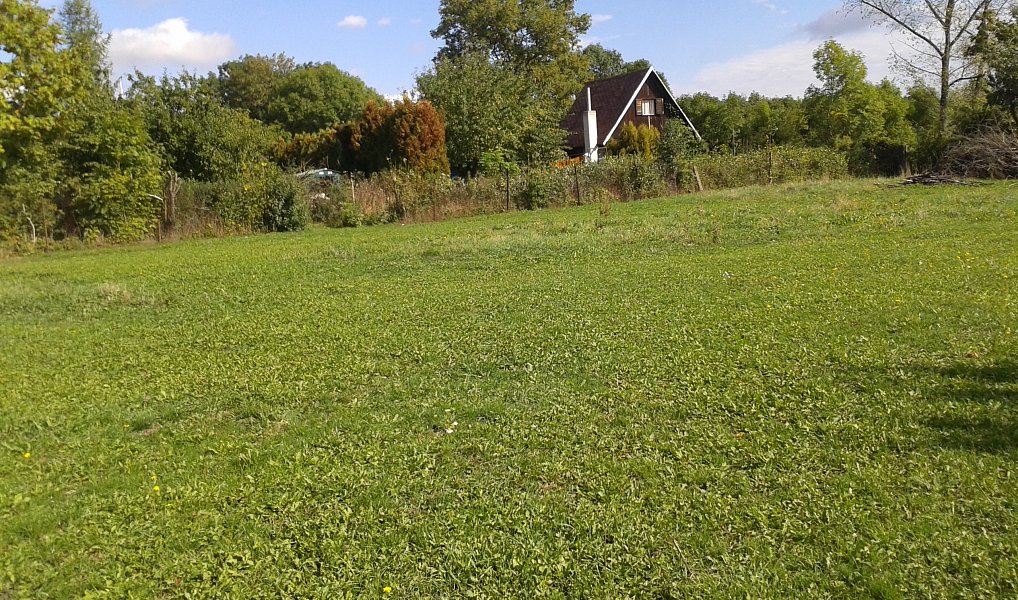 Pronájem zahrady 1 555 m², Městec Králové – náhled fotky 8