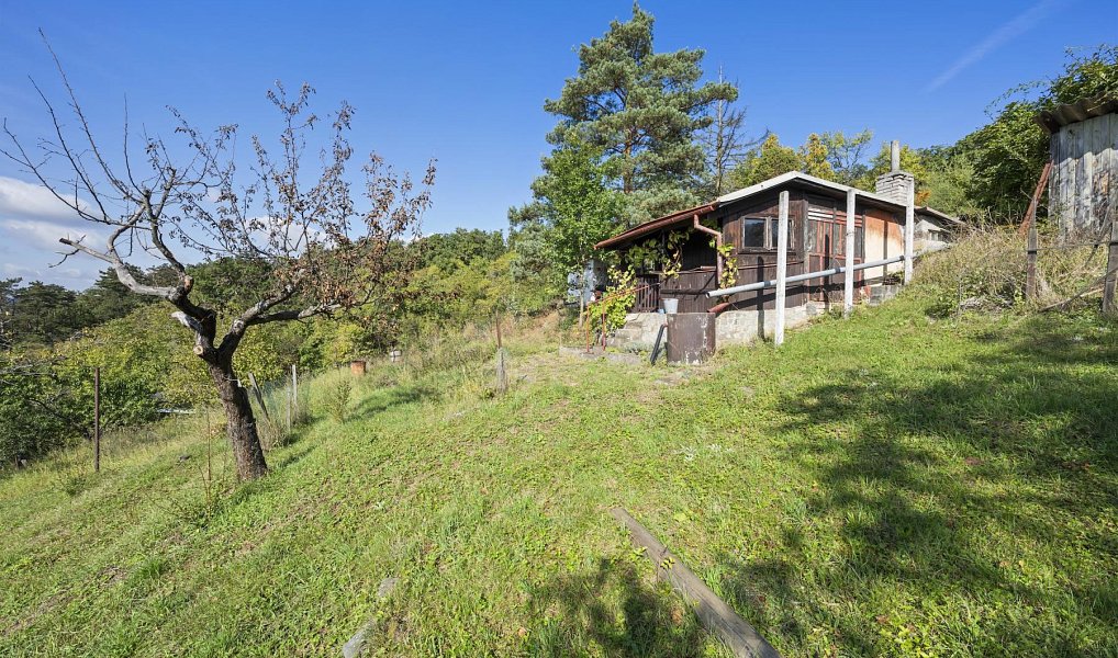 Prodej zahrady 1 346 m², Brno – náhled fotky 9