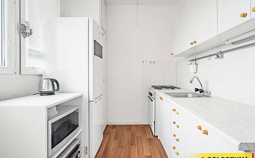 Prodej bytu 1+1 35 m², Brno - Lesná