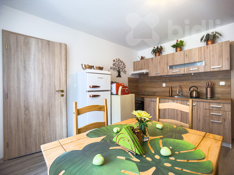Prodej nájemního domu, činžáku 298 m² — photo 4