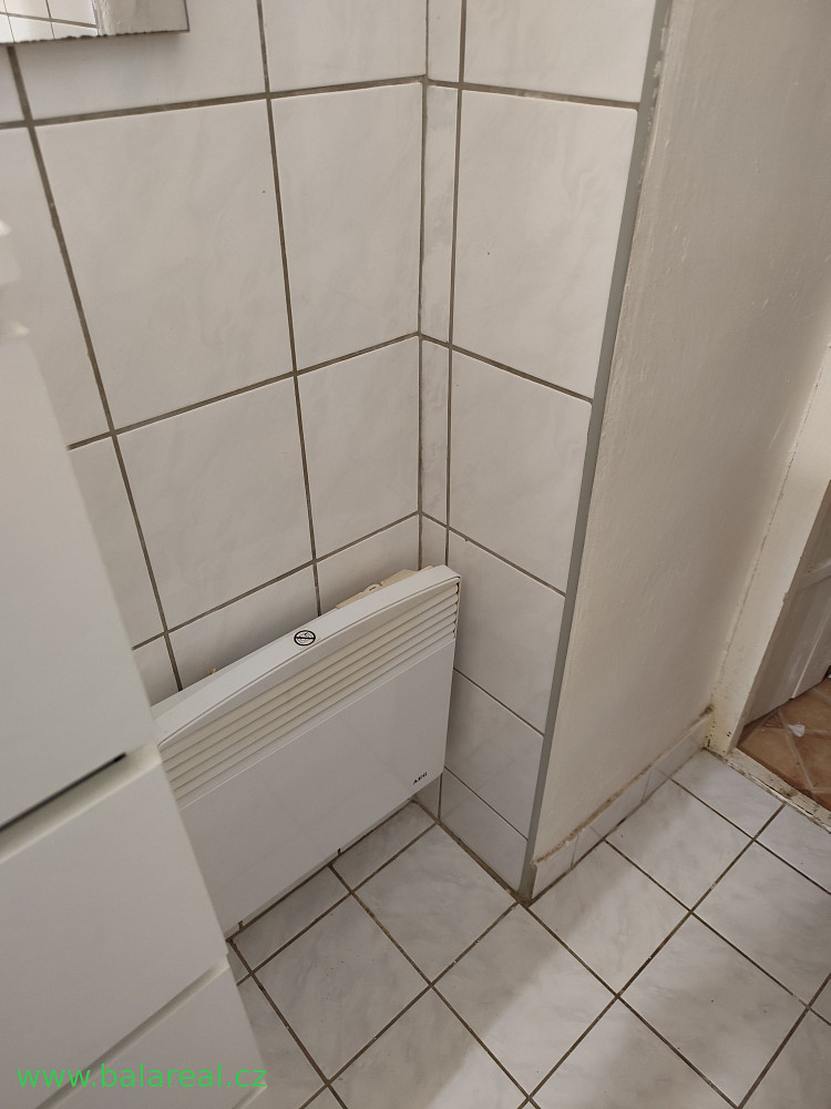Pronájem bytu 1+1 30 m² – fotografie 4
