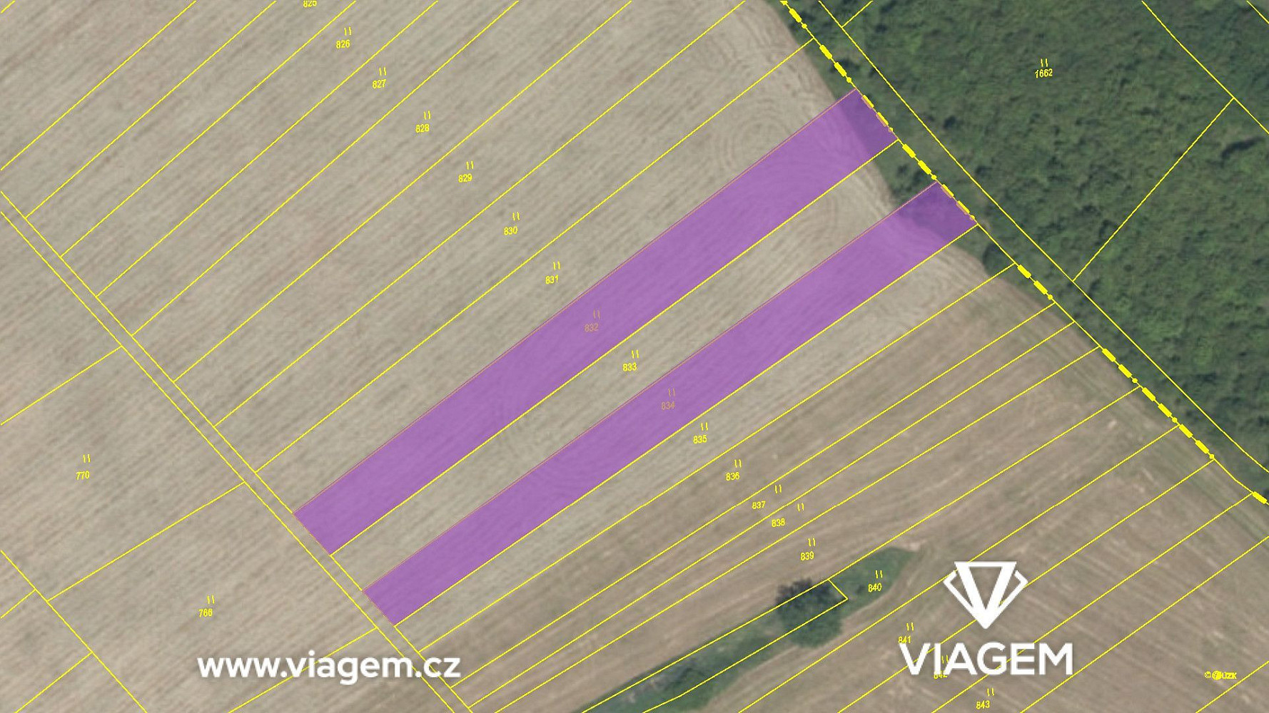 Fotka 4 z 5