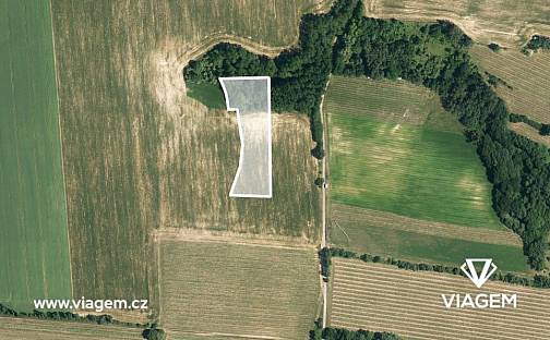 Prodej pole 2 452 m², Ořechov, okres Uherské Hradiště