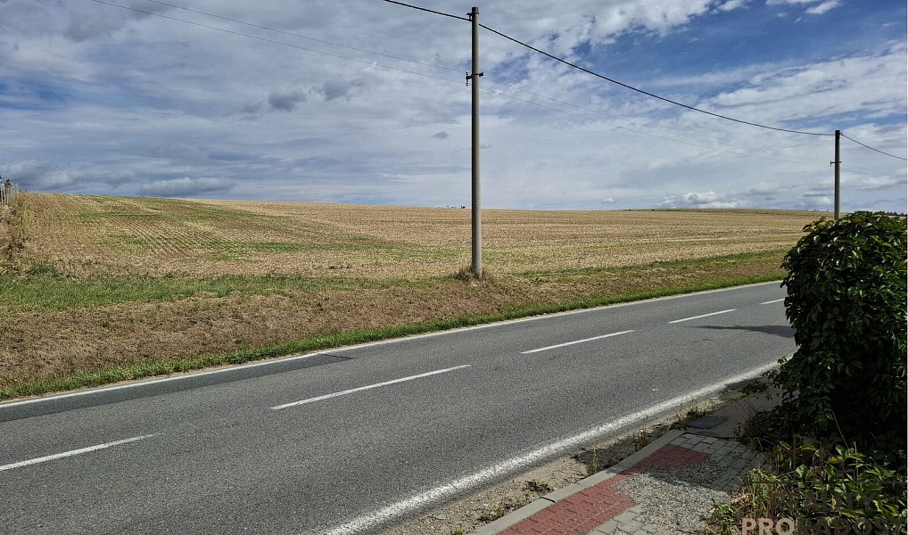 Prodej stavebního pozemku 4 020 m², Ježkovice – náhled fotky 3