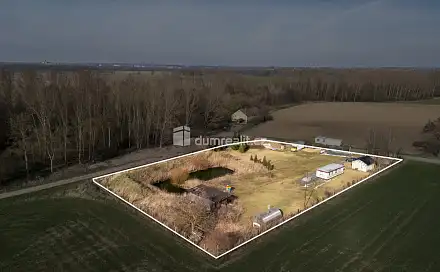 Prodej pozemku 4 428 m², Úporská, Obříství - Dušníky, okres Mělník